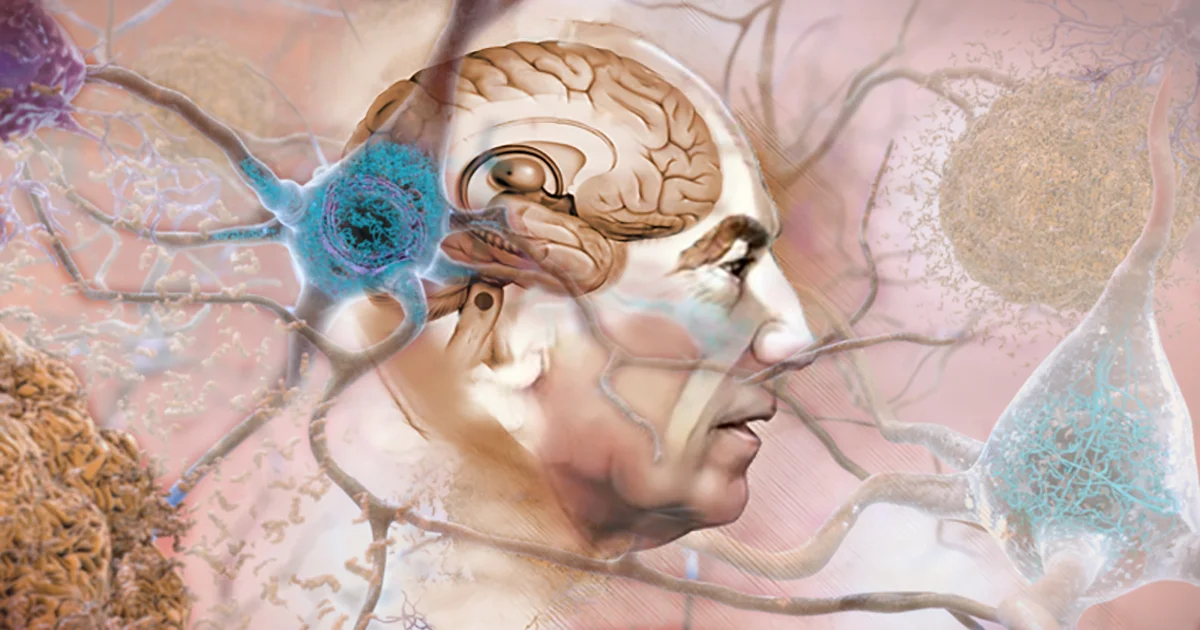 Atividade intelectual pode melhorar o desempenho cerebral