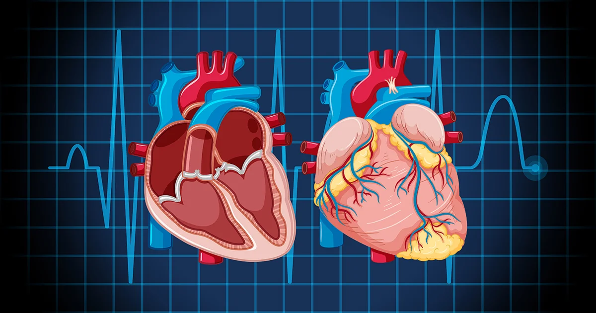 Atenção para os cuidados com as doenças cardiovasculares