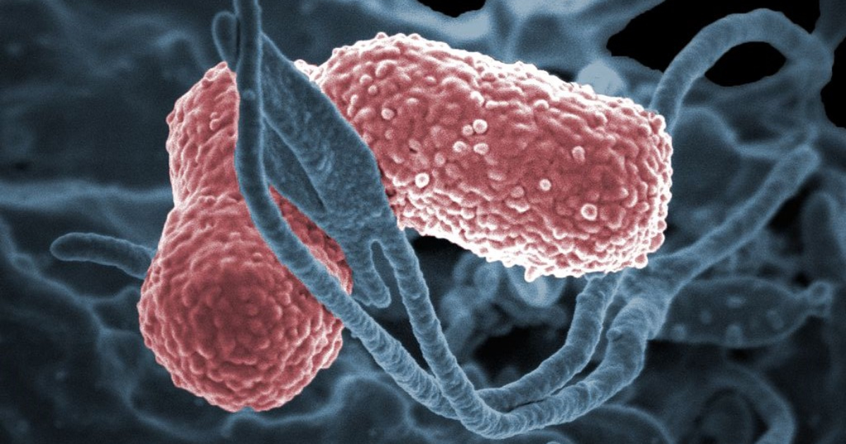 As estratégias que ajudam a conter superbactérias em hospitais