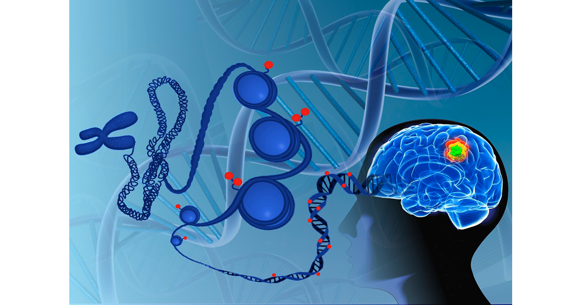 Tratamento contra câncer de cérebro modifica a forma como o DNA tumoral se comporta