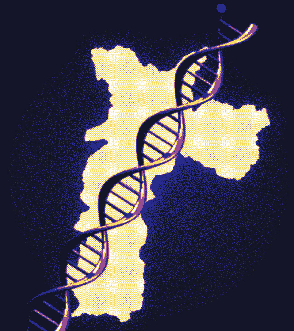 Cientistas analisam ancestralidade genética da população paulistana