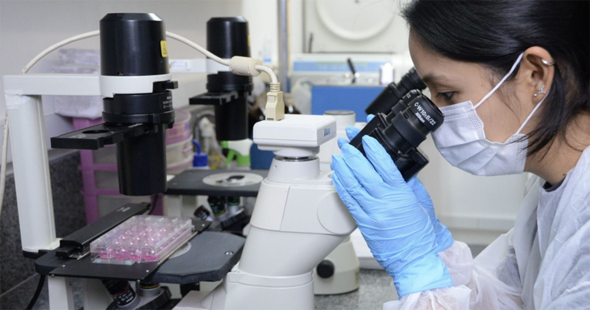 Estudo identifica moléculas “desreguladas” no diabetes e no câncer de mama